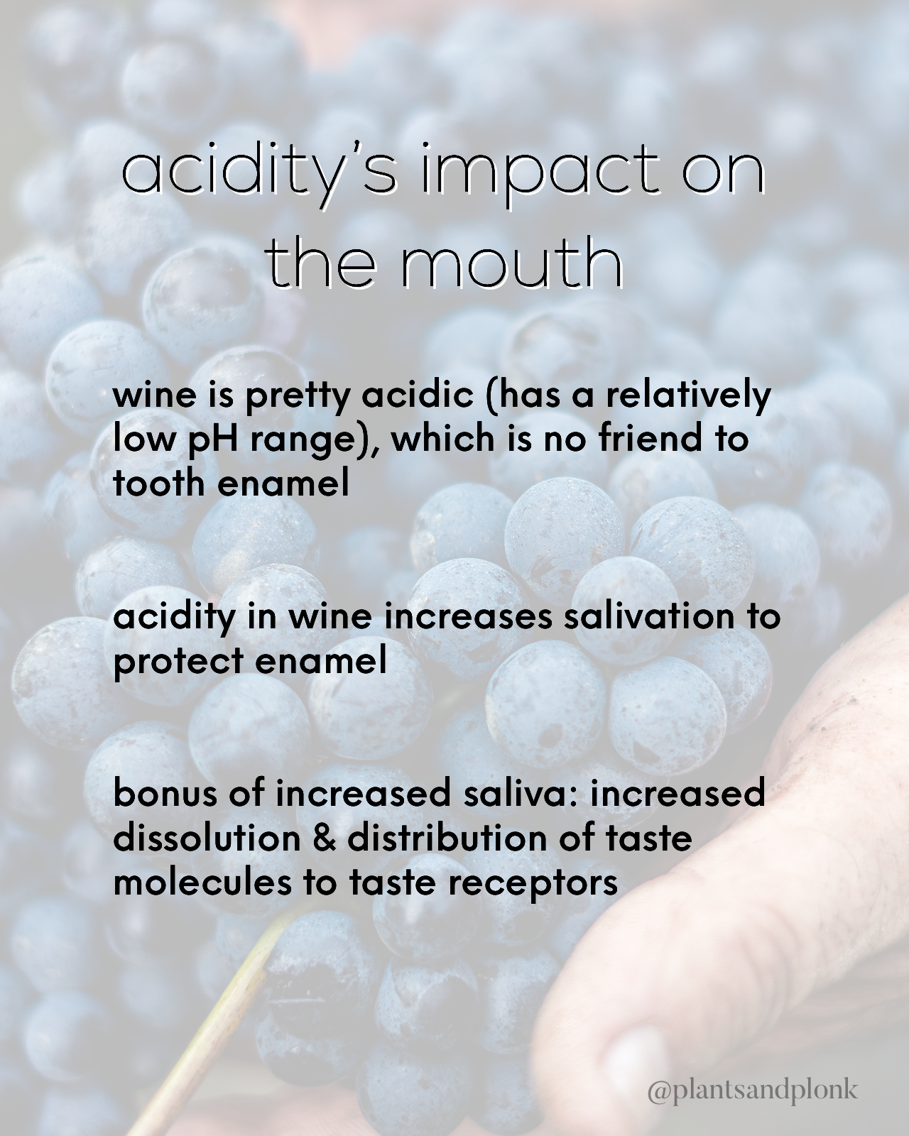 Acidity's impact on the mouth