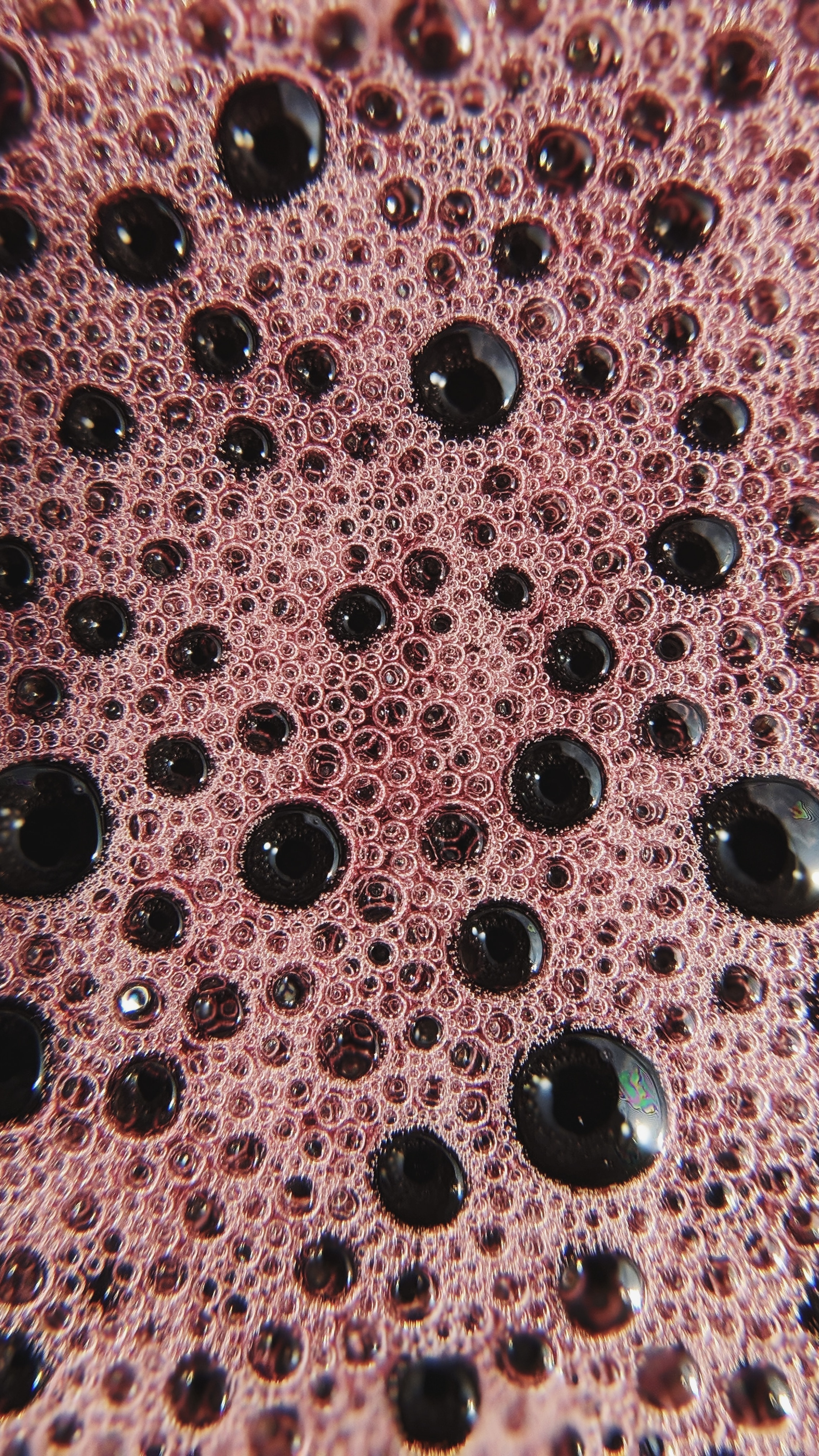 2aeb4c0a-a7a5-48a6-8826-10abb785e6e3