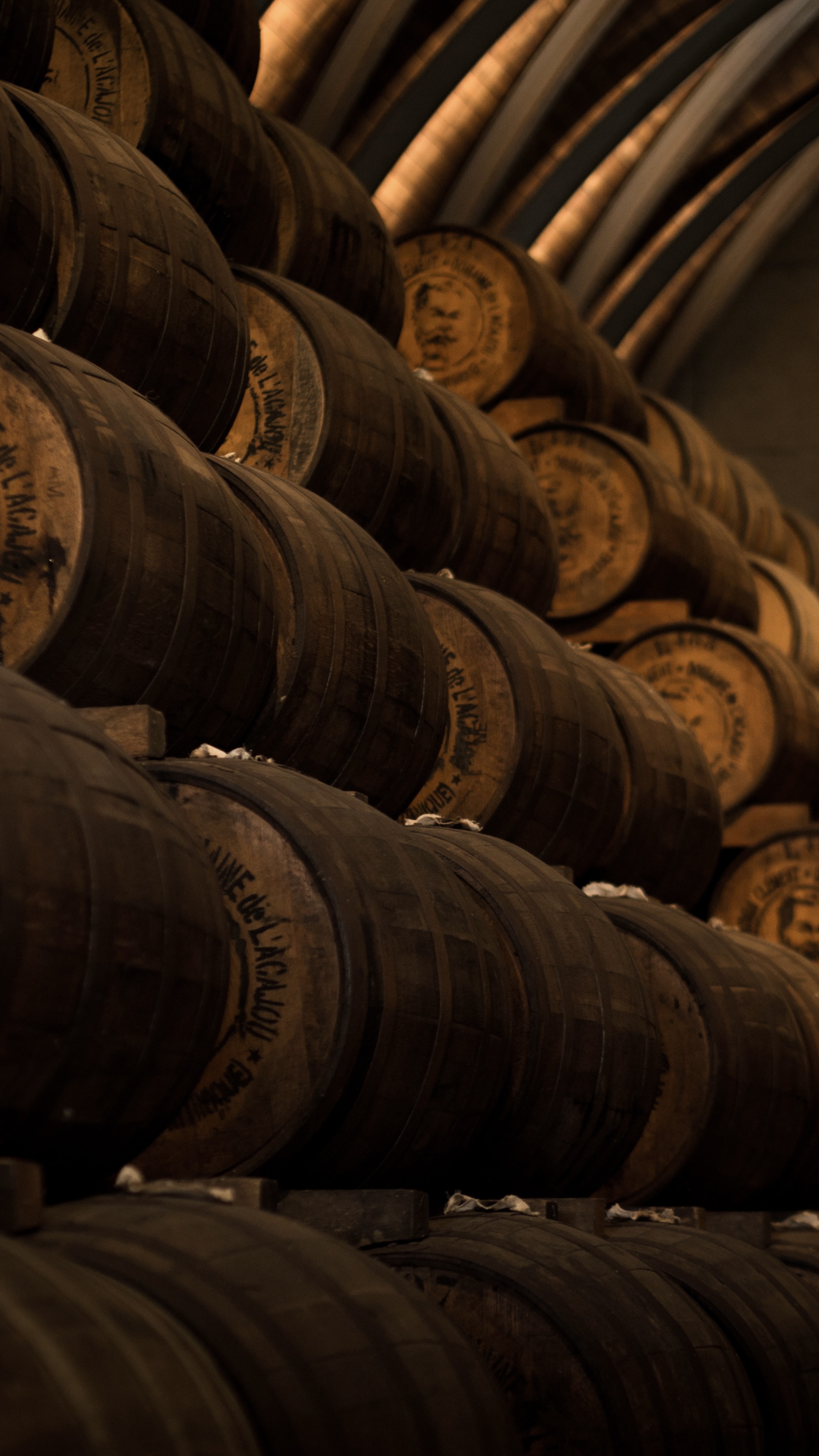 e71d7c39-502e-4600-a974-3263e1a4df7f