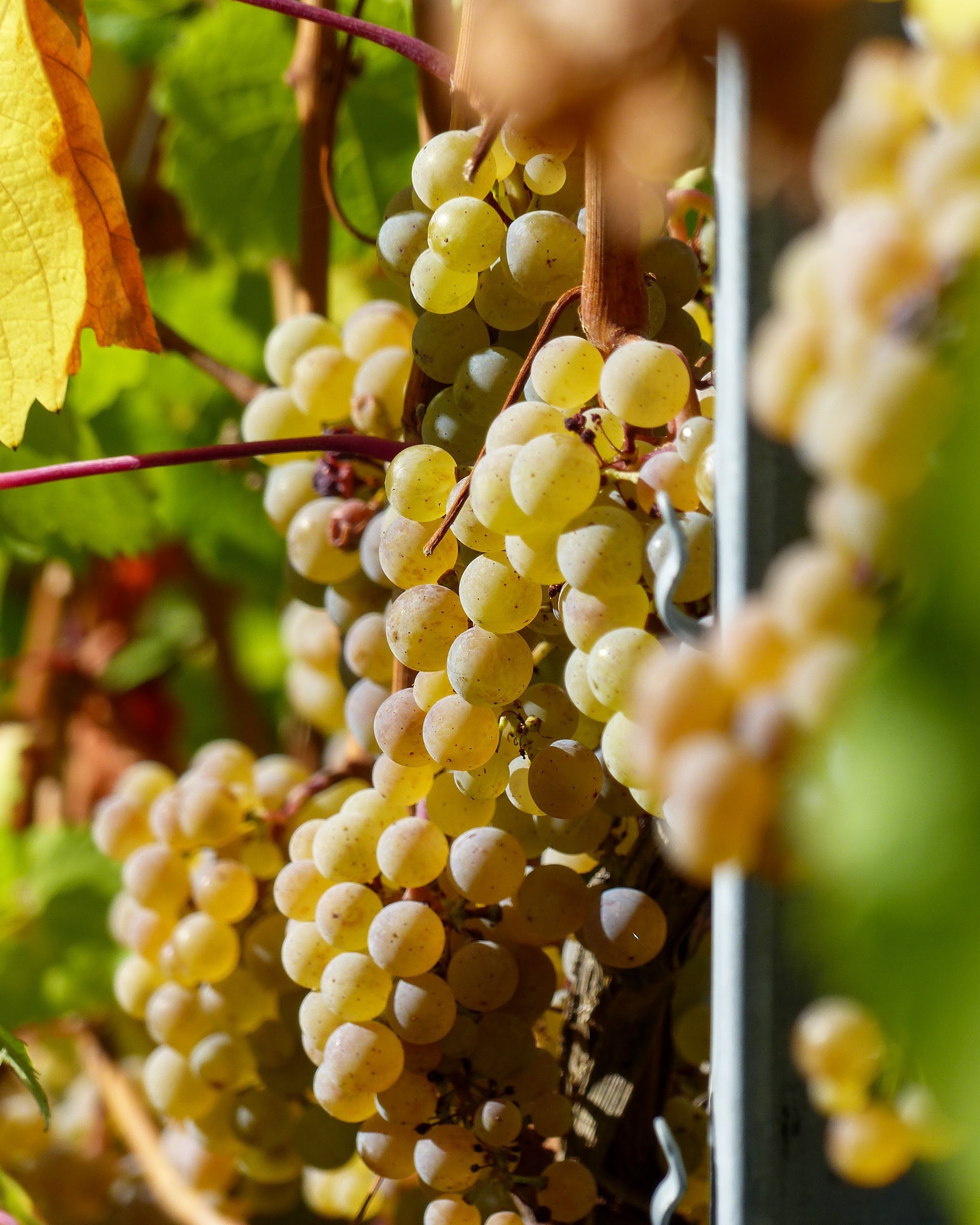 0dca6dde-42db-4e68-a3bf-201124e07406